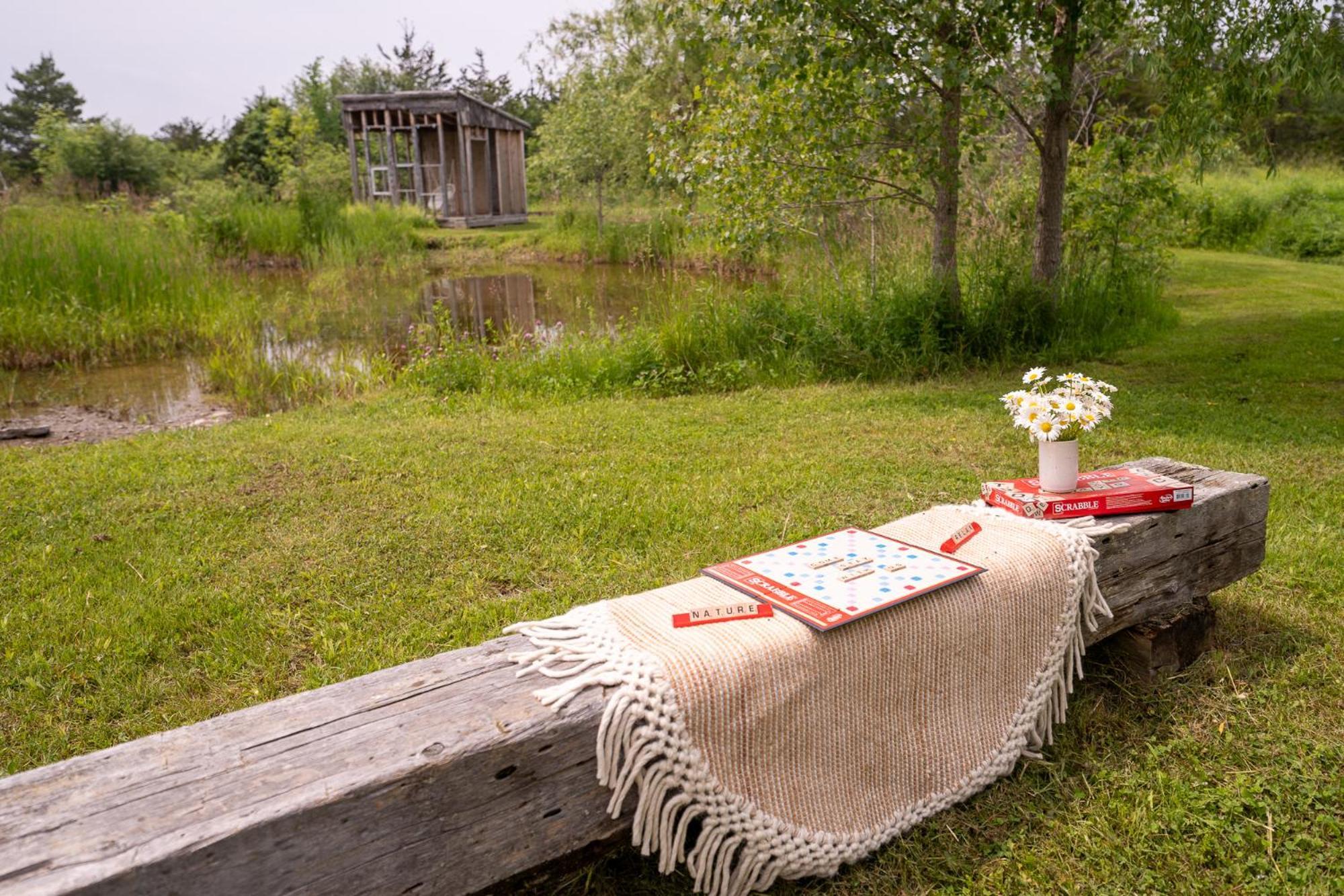 Owl'S Nest Suites Carrying Place ภายนอก รูปภาพ